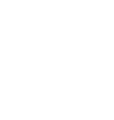 bizonnet logo - white